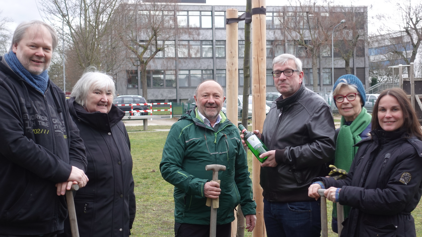 GRÜNEN Fraktion spendet Winterlinde