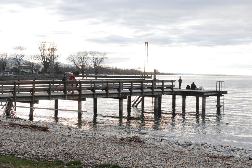 Antrag: Obertshausen wird „Sicherer Hafen“