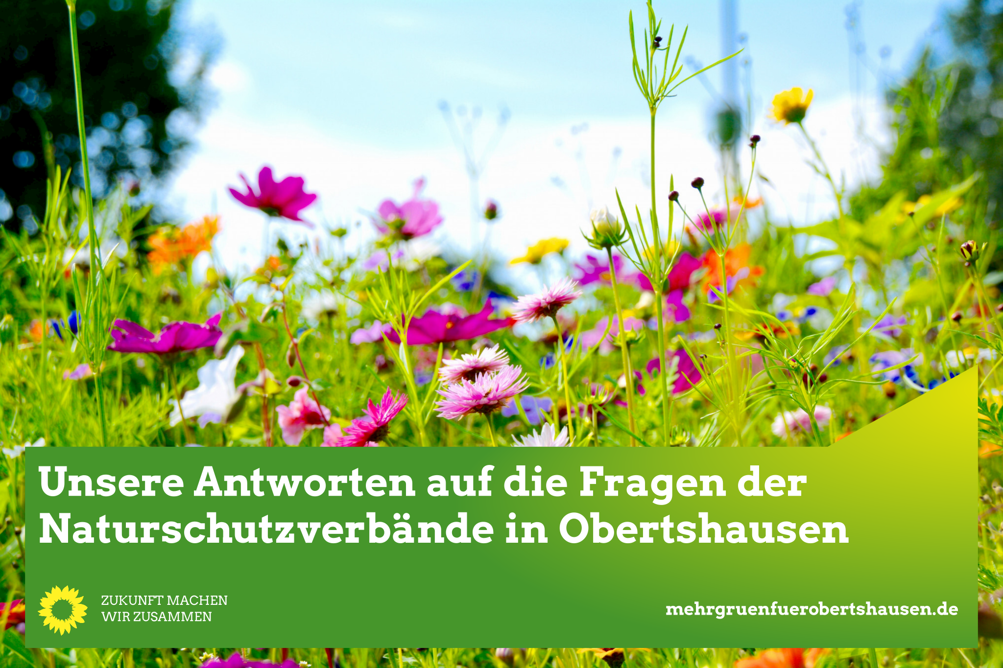 Unsere Antworten auf die Fragen der Naturschutzverbände