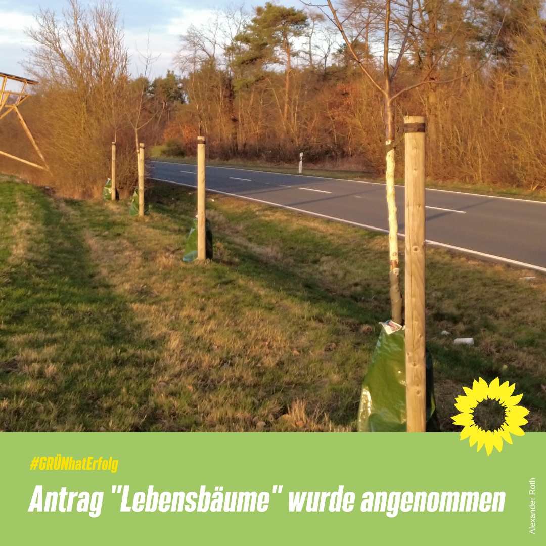 Antrag: Lebensbäume